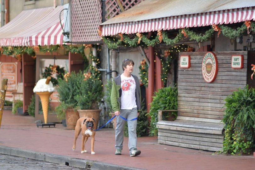 pet-dog-vacation-travel