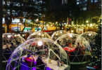 best-igloo-dining-restaurants