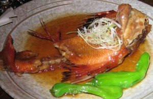 RobatayaUtonFish