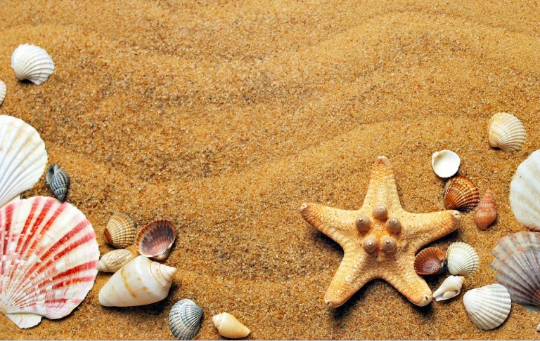 Build-indoor-beach-roamilicious