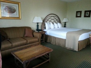brasstown valley resort suites
