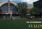 what-to-do-in-Avalon-alpharetta