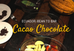 cacao-bean-to-bar-ecuador