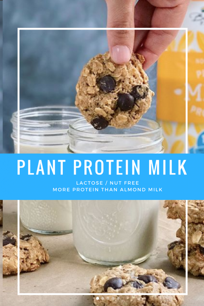 plant protein milk