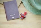 passport for cruise