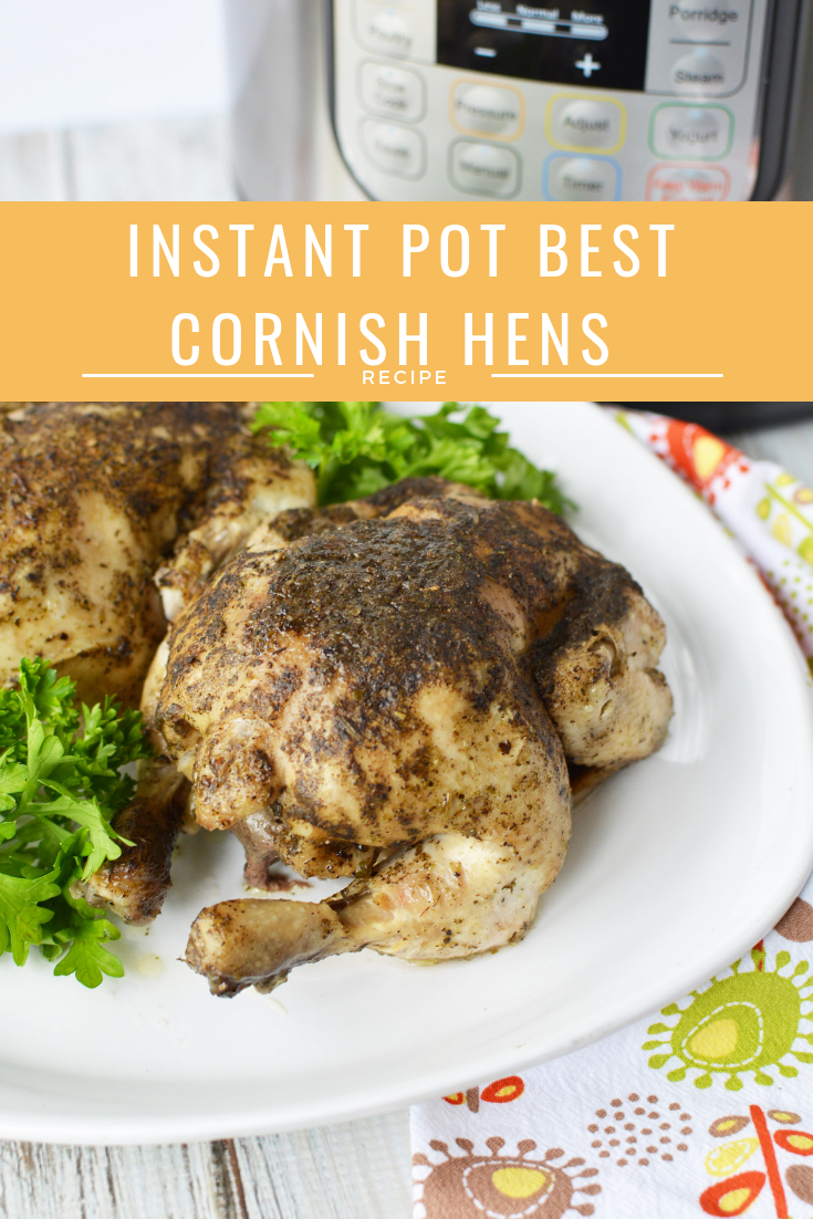 Instant Pot Best Cornish Hens Roamilicious