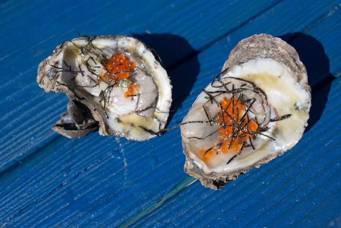 oyster festival in Alabama beach Roamilicious