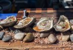 oyster varieties at festival in gulf shores AL Roamilicious