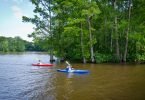 Kayaking in Edenton