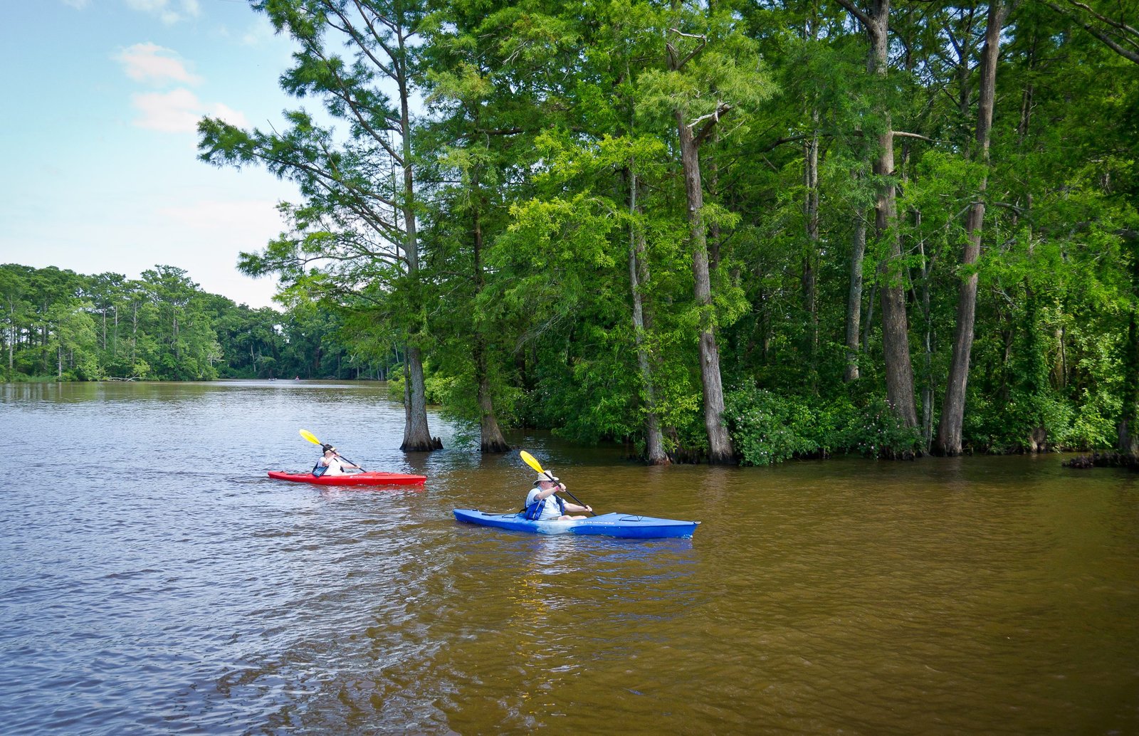 Kayaking in Edenton