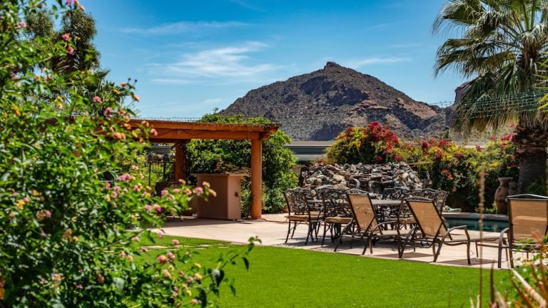 outdoor-yard-design-tips