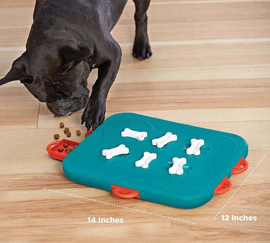 best-toys-dog-travel-roamilicous