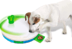 dog-travel-best-toys-treats-roamilicious