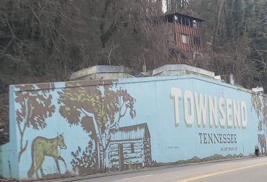 townsend-TN-smoky-mountain-cabin-roamilicious