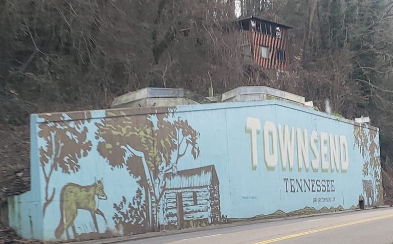 townsend-TN-smoky-mountain-cabin-roamilicious