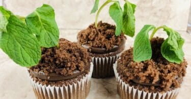 arbor-day-earth-day-cupcakes-roamilicious
