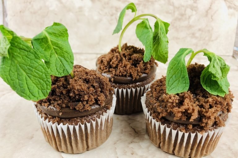 arbor-day-earth-day-cupcakes-roamilicious