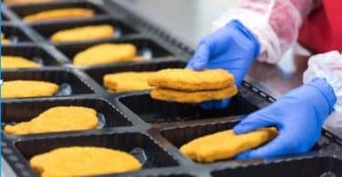 food safety