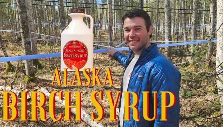 Birch Syrup Alaska heatlh benefits