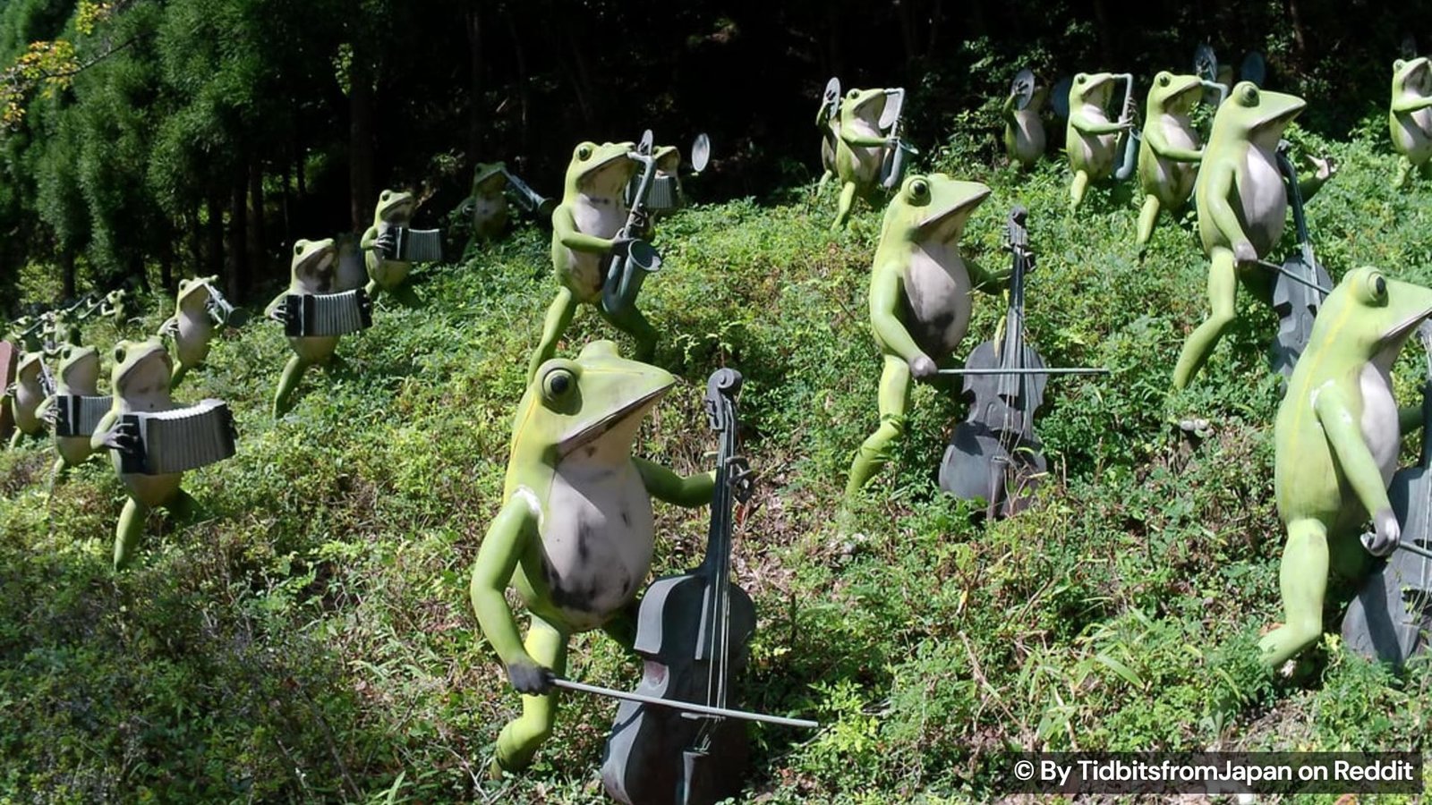 A surprising orchestra in Shiga
