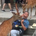 Japan is unlike any other country, and these photos prove it
