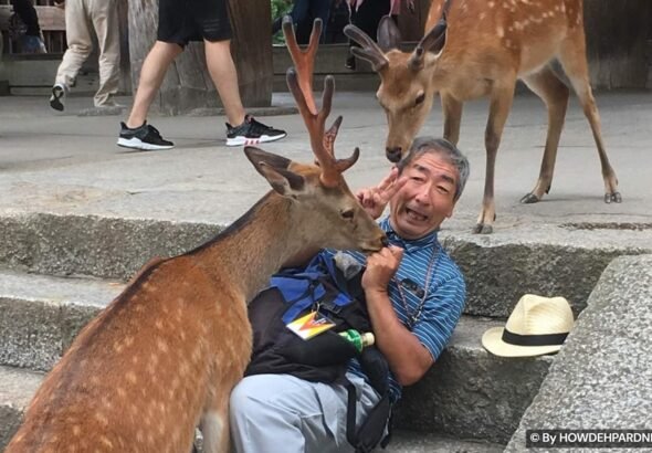 Japan is unlike any other country, and these photos prove it