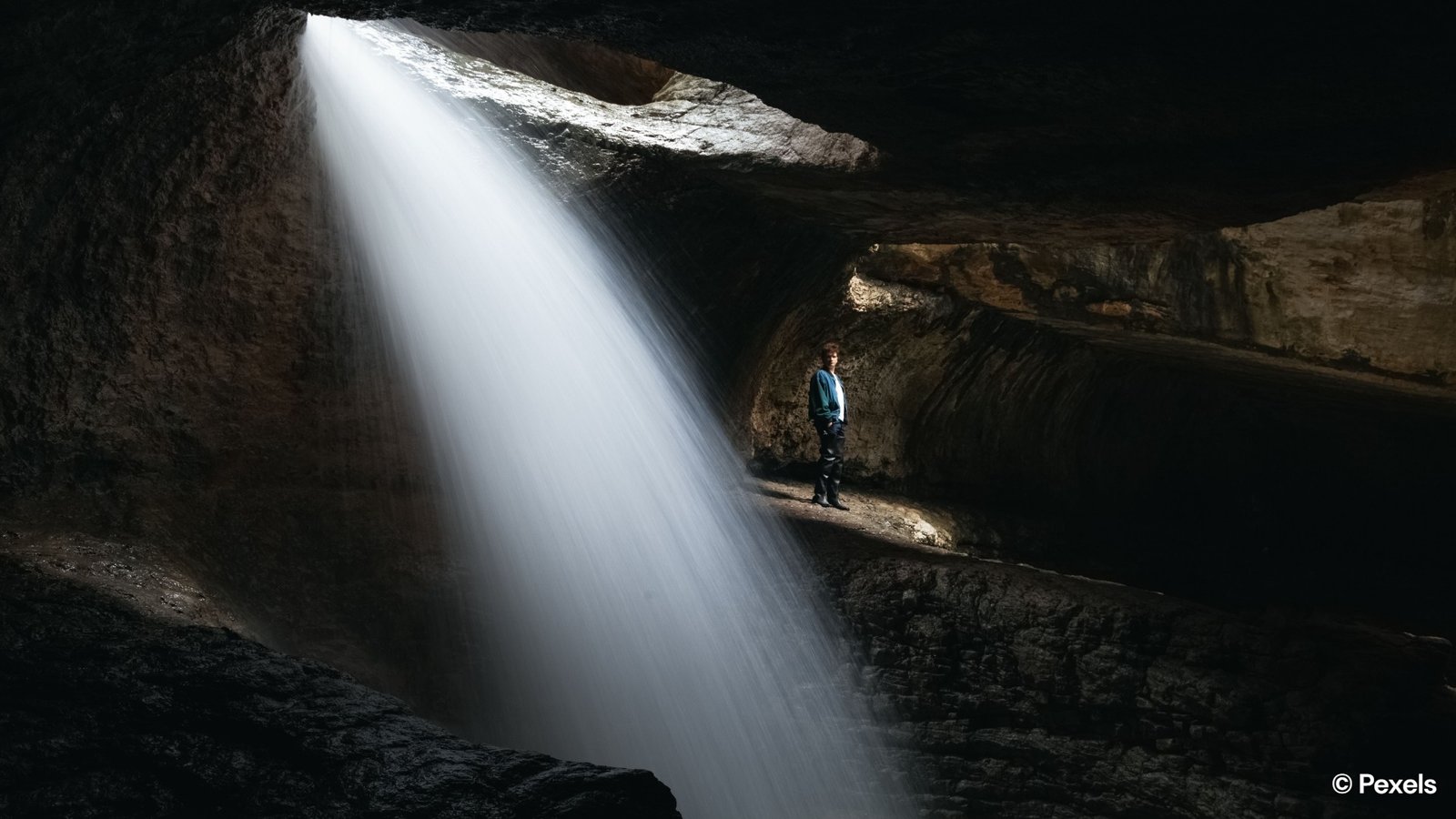 Walk ancient rainforests