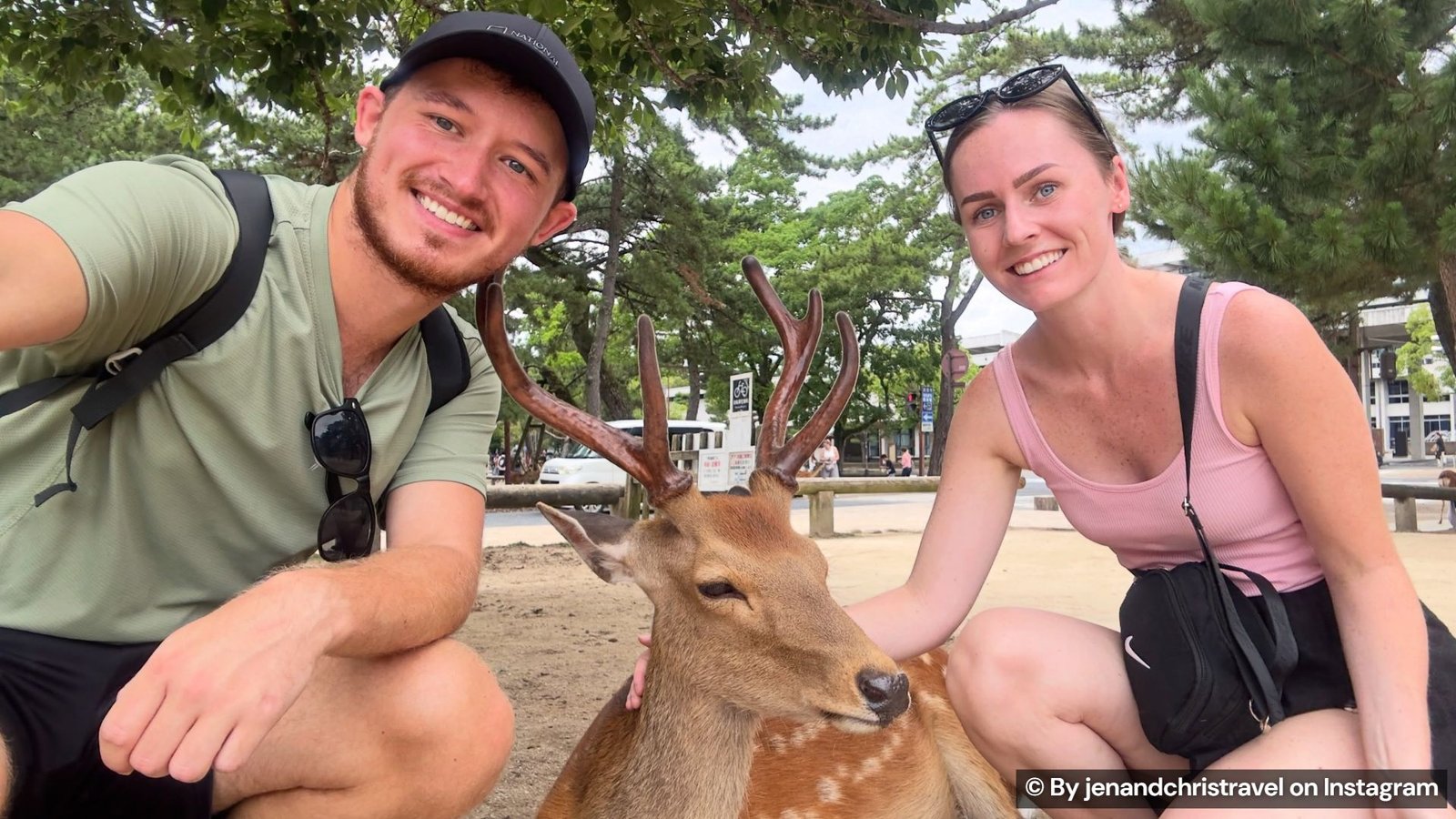 A deer couple in Nara
